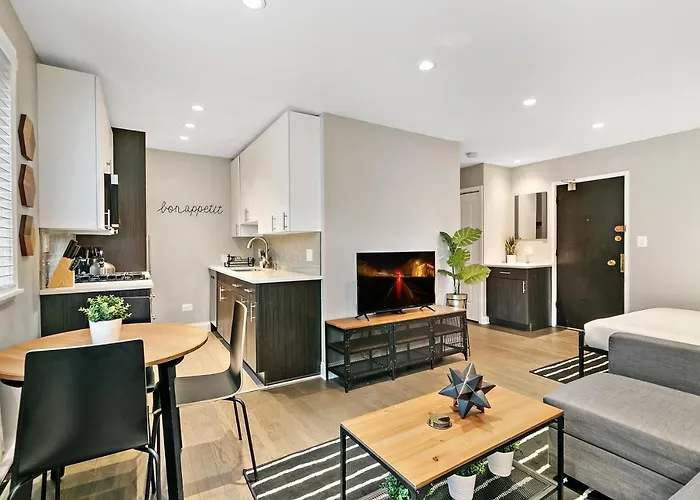 Best Studio Apt In Chicago Close To Boystown - Oakdale 514 & 413 Rep